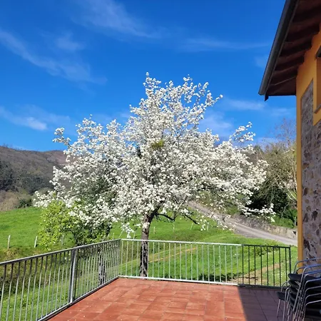 Casa El Fanoso Luarca